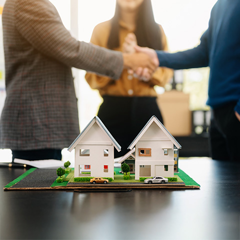 Real Estate & Property Conflicts